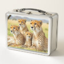 Suche nach gepard brotdosen Tier