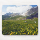 Recherche de passage tapis souris Nature