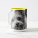 Suche nach yorkshire terrier tassen Haustier