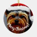 Recherche de yorkshire terrier ornements Mignon