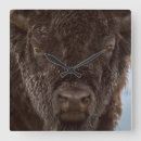 Recherche de bison horloges Bull