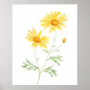 Suche nach watercolor daisy poster Floral