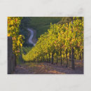 Recherche de adelaïde cartes postales Australie