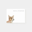 Recherche de corgi Animal