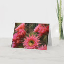 Suche nach flower karten Pink flowers