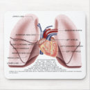 Suche nach lunge mousepads Organ
