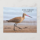 Recherche de sand cartes postales Nature