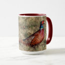 Recherche de faisan tasses Phasianus colchicus