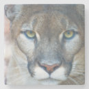 Suche nach berglöwe untersetzer Tierwelt