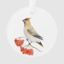 Suche nach wachs ornamente Natur