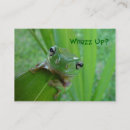 Recherche de crapaud cartes visite Nature
