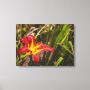 Suche nach nach dem regen leinwandbilder Tag