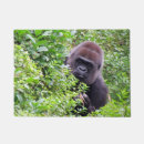 Suche nach nicht meine affen türmatten Natur