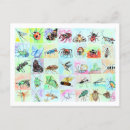 Suche nach schnecken postkarten Insekten