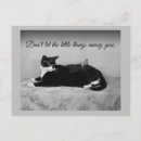 Recherche de oiseau et chat cartes postales Toute personne