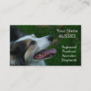 Recherche de race cartes visite Chien