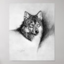 Suche nach grauer wolf poster Wölfe