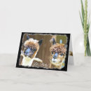 Recherche de alpaca anniversaire cartes Drôle