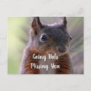 Recherche de noisettes cartes postales Pour tous