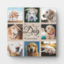 Suche nach hunde beileid fotoplatten Keepake