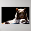 Recherche de white tiger posters Blanc