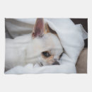 Suche nach chihuahua geschirr tücher Welpe