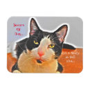Recherche de tuxedo magnets Réfrigérateur