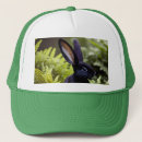 Recherche de lapins casquettes Animal