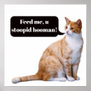 Recherche de stupide posters Animaux