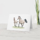 Suche nach warmblood Pony