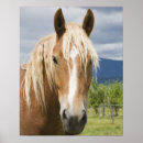 Recherche de oreilles posters Agriculture