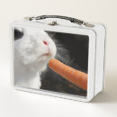 Suche nach osterhase lebensmittel aufbewahrung Tier
