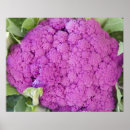 Suche nach rosa getränk kunst Lila