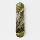 Recherche de espèces skateboards Faune