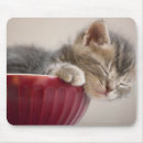 Recherche de cuvette tapis souris Animal