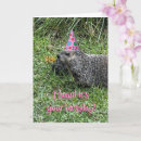 Suche nach groundhogs karten Niedlich