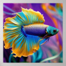 Suche nach siamesisch poster Blau