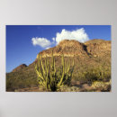 Suche nach pipe organ poster Landschaft