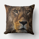 Recherche de visage lion coussins Chat