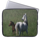 Suche nach fohlen laptop schutzhüllen Araber