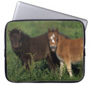 Suche nach fohlen laptop schutzhüllen Reiter