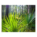 Suche nach backlit poster Hinterbeleuchtet