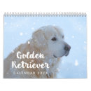 Suche nach golden retriever kalender Foto