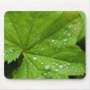 Recherche de feuille vert tapis souris Macro