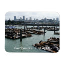 Recherche de otarie magnets Pour tous