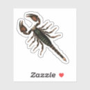 Suche nach skorpione aufkleber Vintag