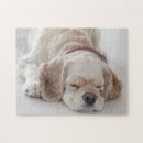 Recherche de sommeil puzzles Animal