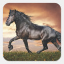 Recherche de beaux de cheval autocollants Chevaux