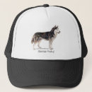 Recherche de sibérien casquettes Chiot