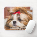 Suche nach pets mousepads Puppy